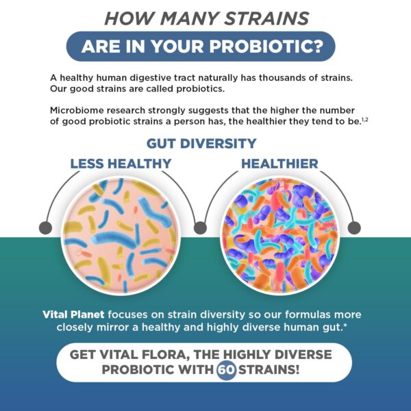 Probiótico con apoyo inmunológico y alivio de hinchazón