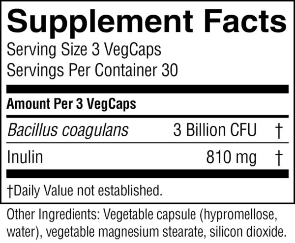 Version 1.0.0 Probiótico bacillus coagulans con prebióticos para digestión