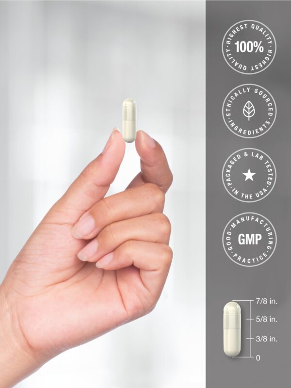 Probiótico Doctor's Way sin GMO y sin ingredientes artificiales