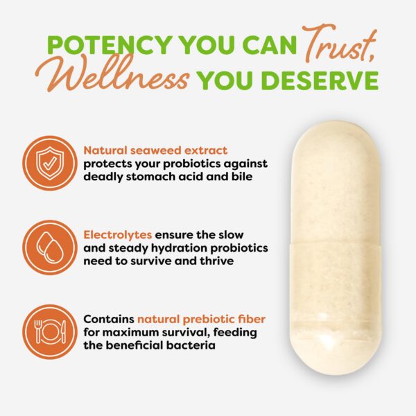 Probiótico con prebióticos y postbióticos Probulin