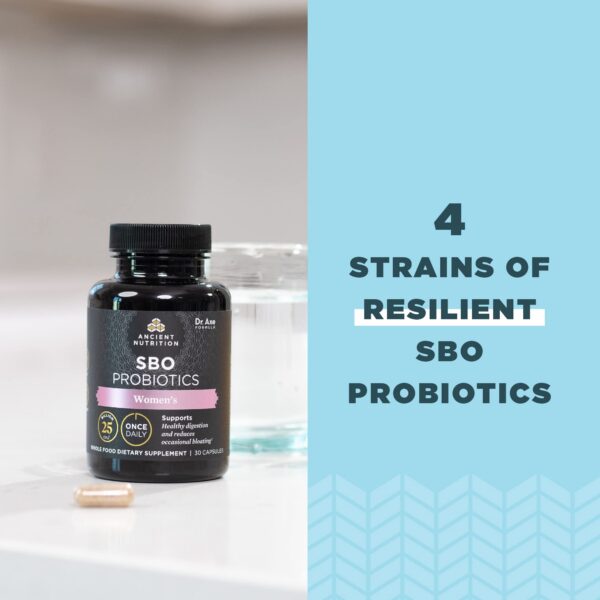 Probióticos Ancient Nutrition con ingredientes fermentados orgánicos