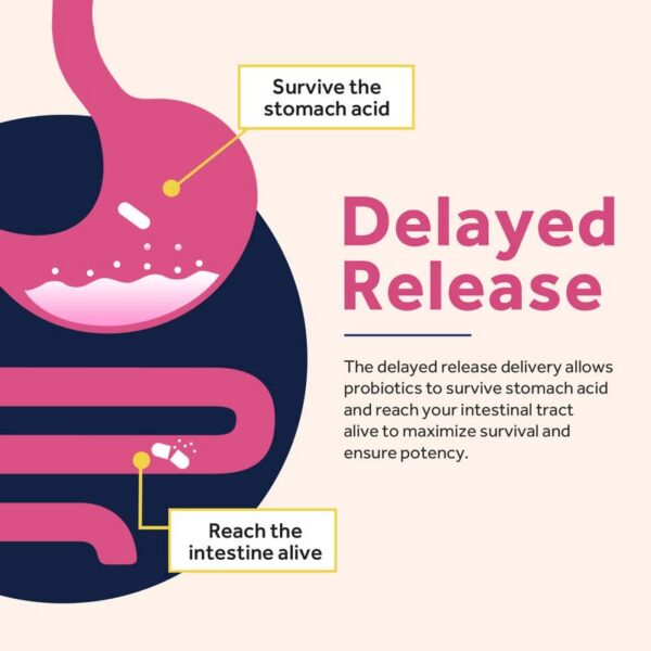 Probióticos con arándano para salud vaginal y urinaria femenina