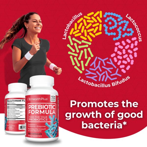 Probióticos y enzimas para promoción de regularidad Health Plus