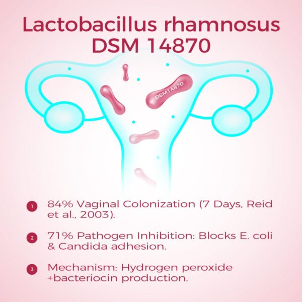 Probióticos para flora vaginal y salud femenina efectiva
