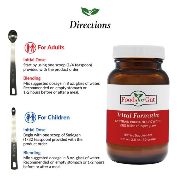 Probióticos Foods For Gut Vital calidad y pureza superior