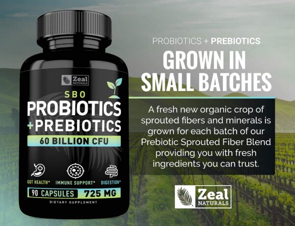 Probióticos y prebióticos para hombres y mujeres 90 cápsulas