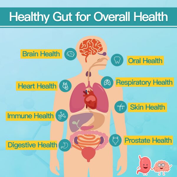 Caja y embalaje sin gluten probióticos Nature Target hombres
