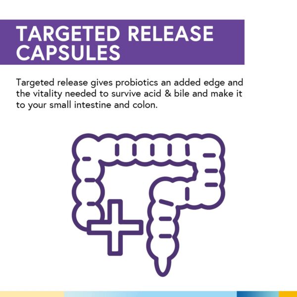 Version 1.0.0 Probióticos Terranics para salud digestiva y regularidad