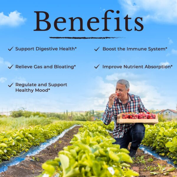 Probióticos vitalitown frasco y caja vista lateral