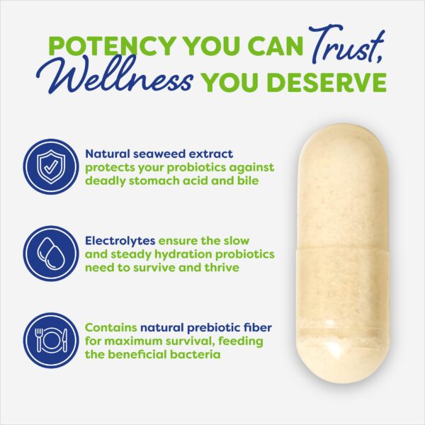 Probulin Daily Care probiótico apoyo digestivo e inmunitario