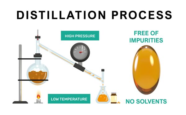 Vitamina E Kala en cápsulas para salud cardiovascular y piel