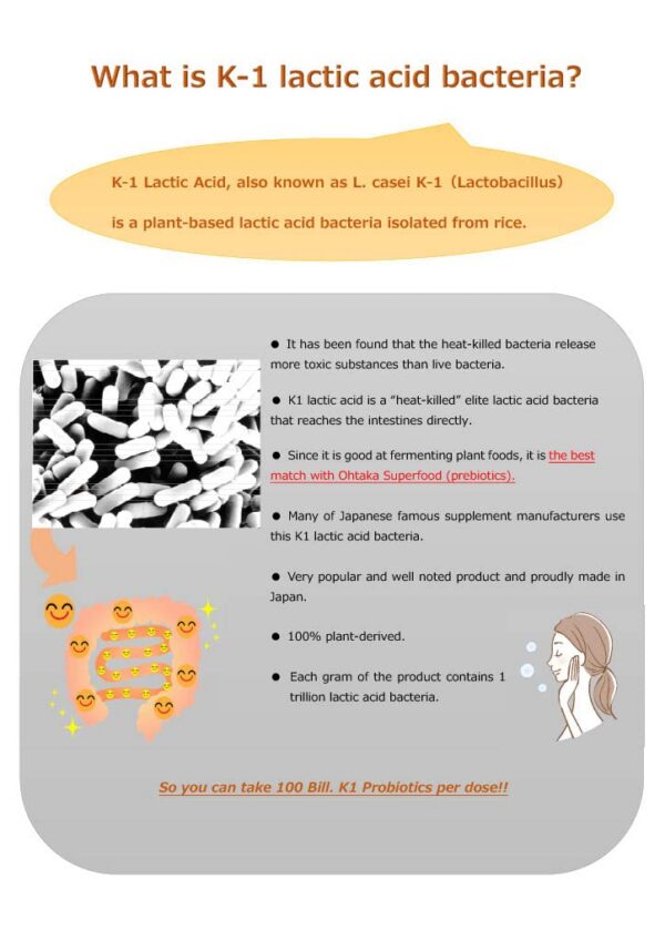 Version 1.0.0 Producción enzimas digestivas con probióticos SynB