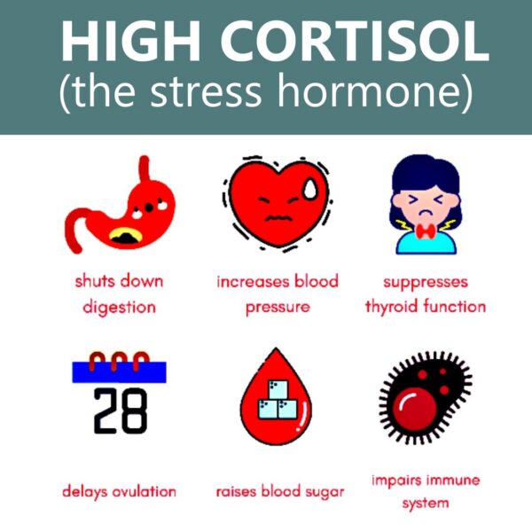 Version 1.0.0 Sello GMP en empaque del producto