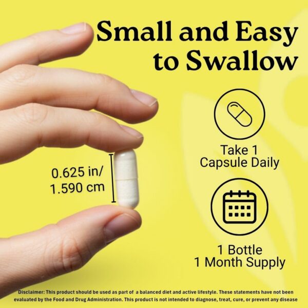 Producción GMP y pruebas de calidad