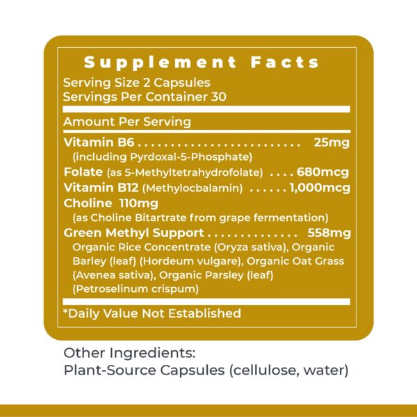 Version 1.0.0 Frente y etiqueta de producto