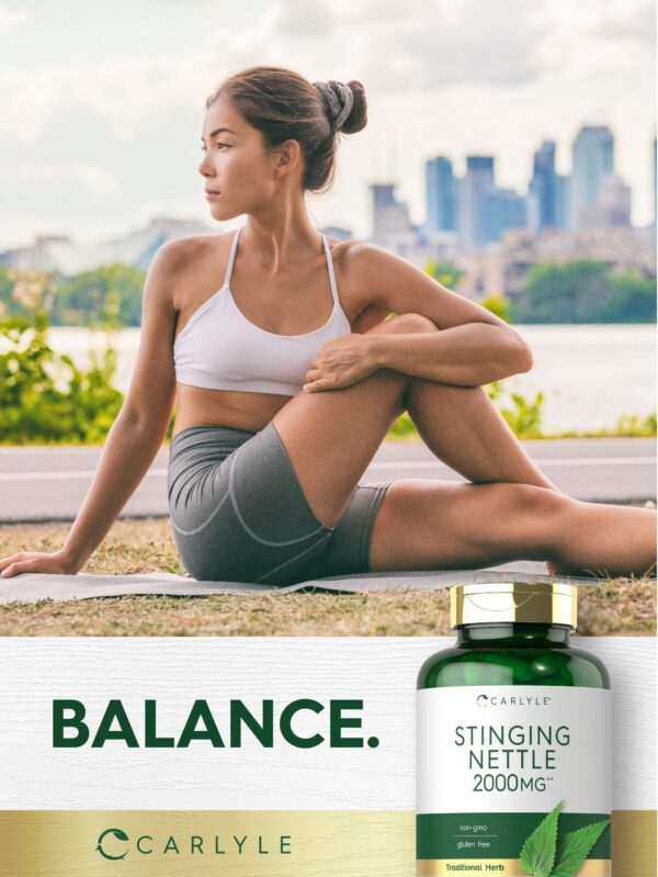producto Carlyle ortiga picante extracto hoja para salud natural