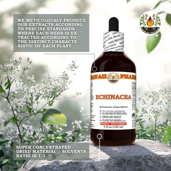 Producto Echinacea puro y natural, hecho en EE.UU.