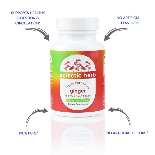 Version 1.0.0 producto eclectcic institute jengibre liofilizado no ogm