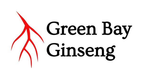 Producto natural Green Bay ginseng americano rodajas grandes
