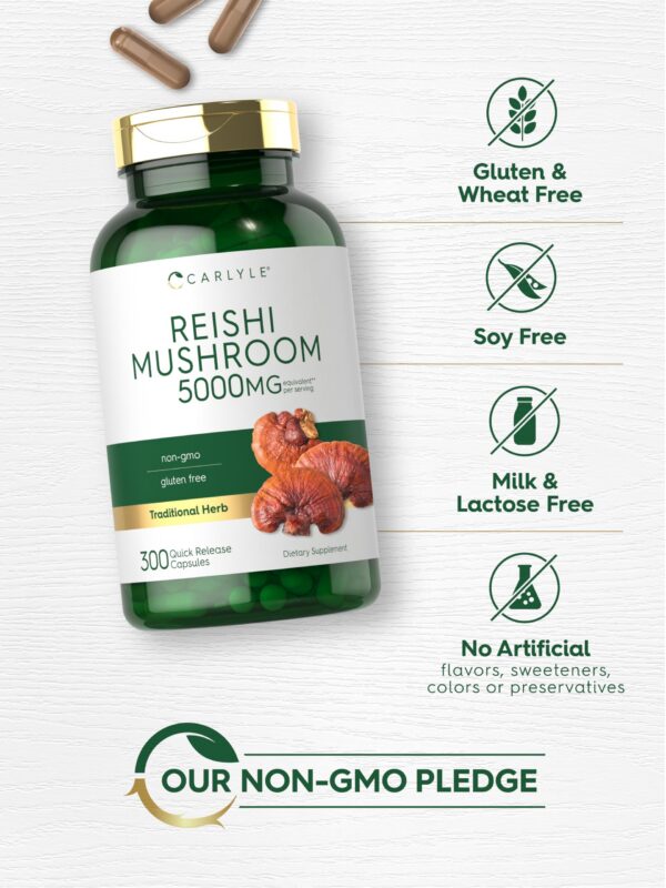 Producto natural Reishi Carlyle sin conservadores