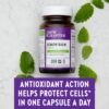 Producto natural sin GMO Lemon Balm Force New Chapter