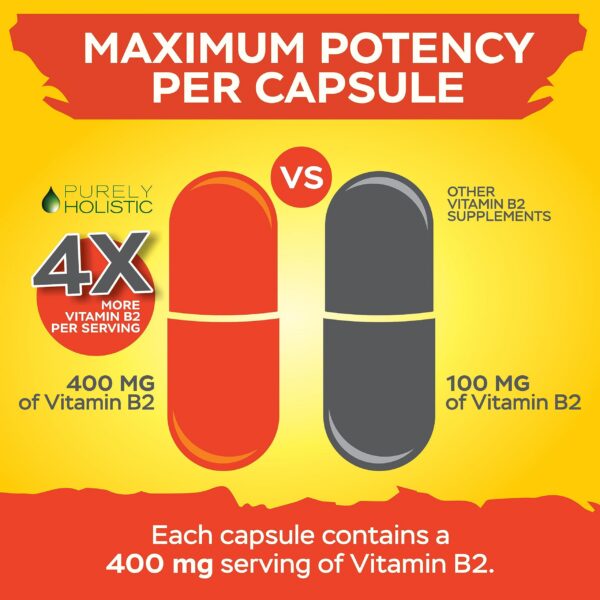 Producto Purely Holistic sin OGM y sin gluten vitamina B2