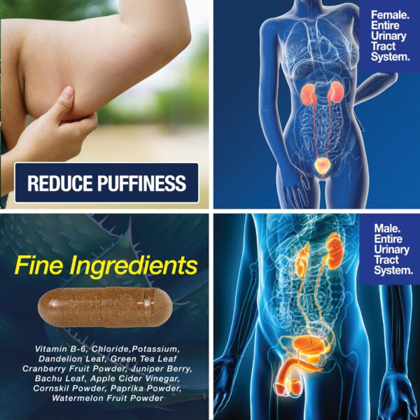 Producto Saint Mingiano para salud renal y digestiva