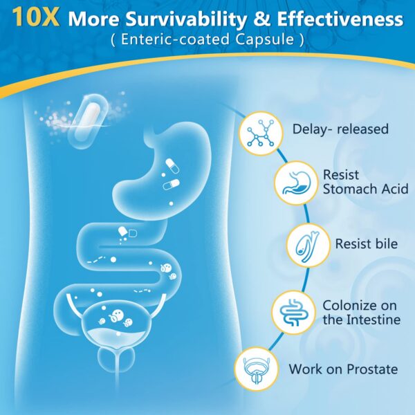 Producto para salud digestiva y próstata hombres NATURE TARGET