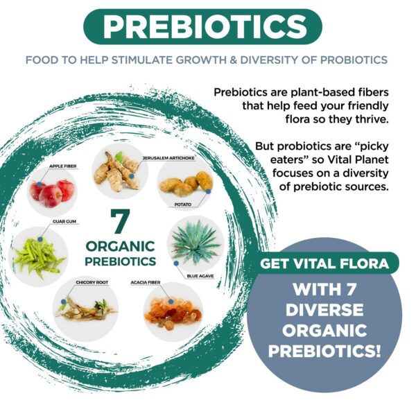 Producto sin GMO sin soja ni gluten para salud intestinal