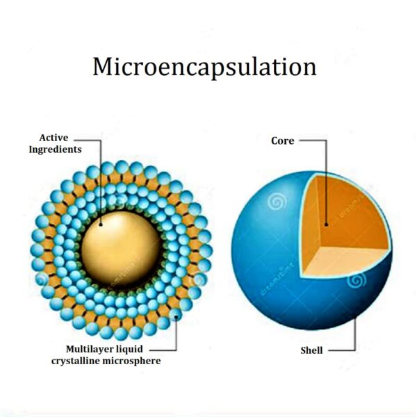 promueve conexión intestino cerebro para mejor estado ánimo