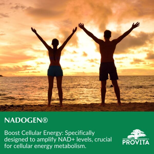 Version 1.0.0 PROVITA Nadogen suplemento triple acción para energía celular