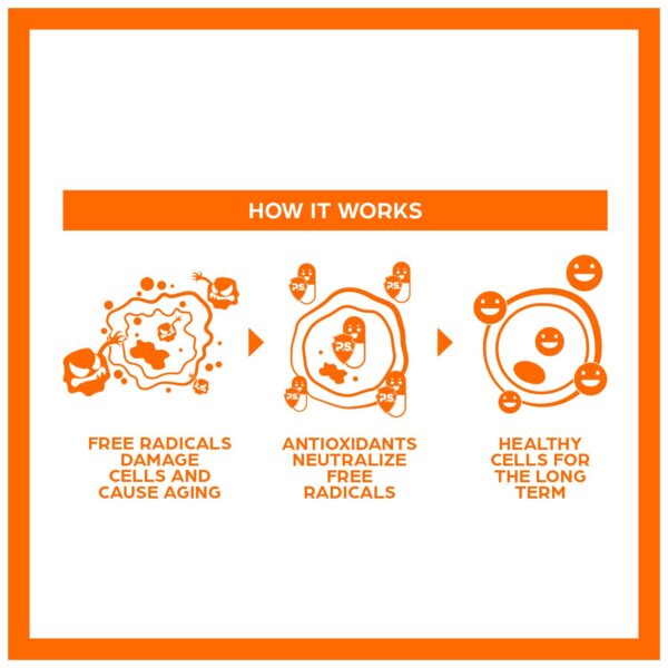 Version 1.0.0 Lote de PS Longevity