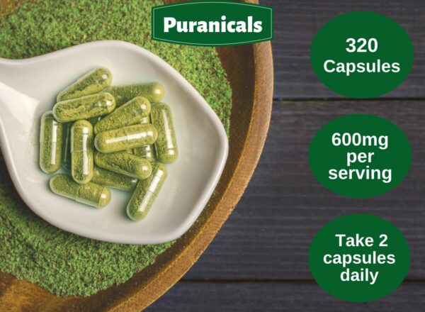 Cápsulas naturales de neem Puranicals en frasco sellado