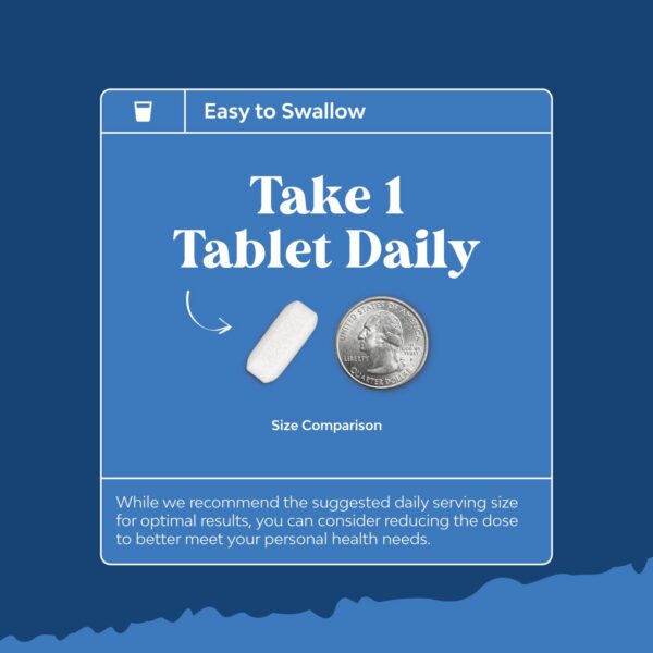 Version 1.0.0 Parte trasera de la etiqueta Pure MSM