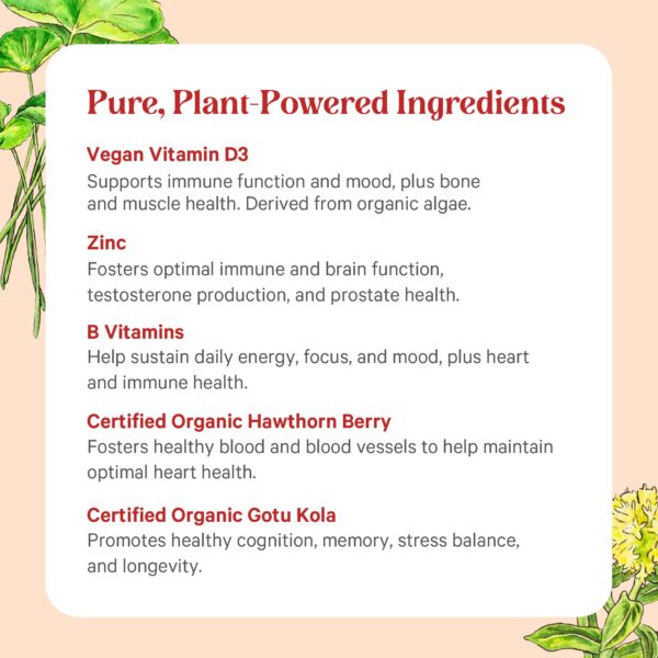 PURE SYNERGY multivitamínico con ingredientes veganos no transgénicos