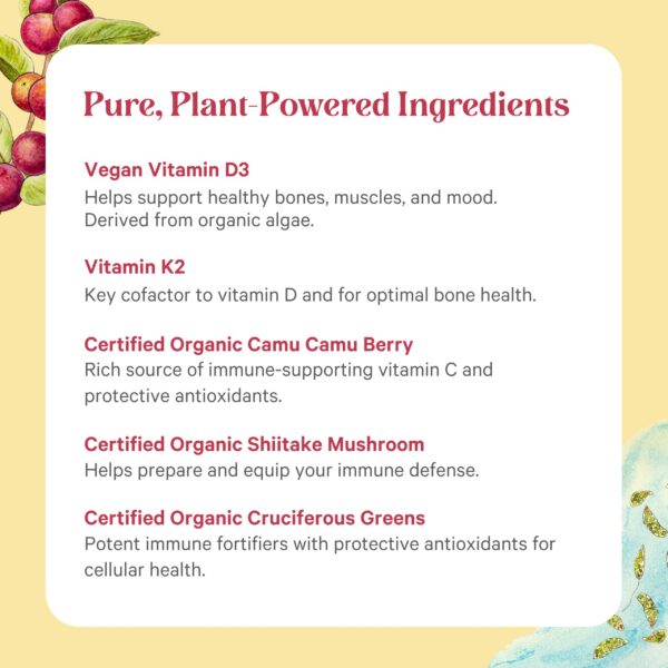 Version 1.0.0 PURE SYNERGY vitamina D3 K2 vegana con K1 cápsulas para sistema inmune