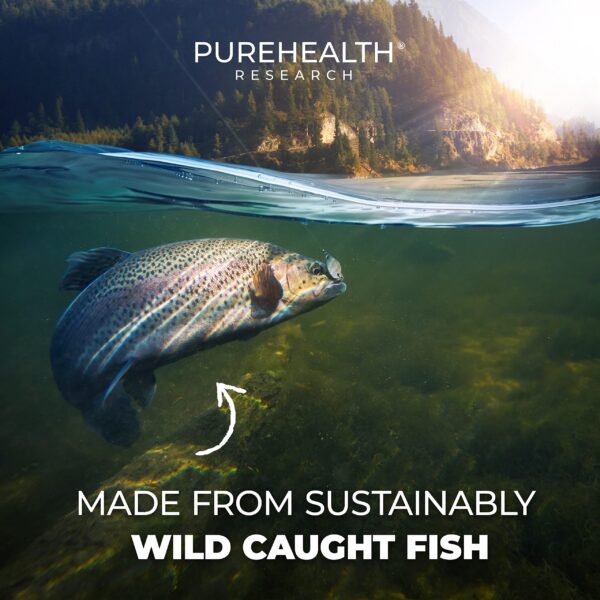 Version 1.0.0 Logotipo PureHealth Research