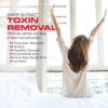Puriclean Max Detox bebida detox potente y fácil de usar