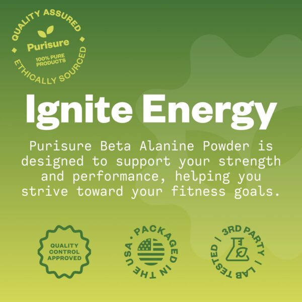 Version 1.0.0 Etiqueta de ingredientes beta alanina