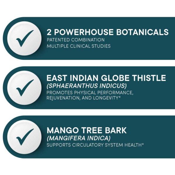 Version 1.0.0 Back label with supplement facts for Muscle Accelerator