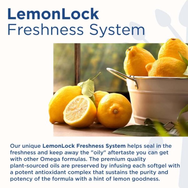 Version 1.0.0 Cierre y tapa