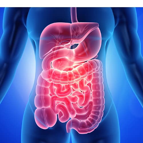 Sistema LemonLock en empaque