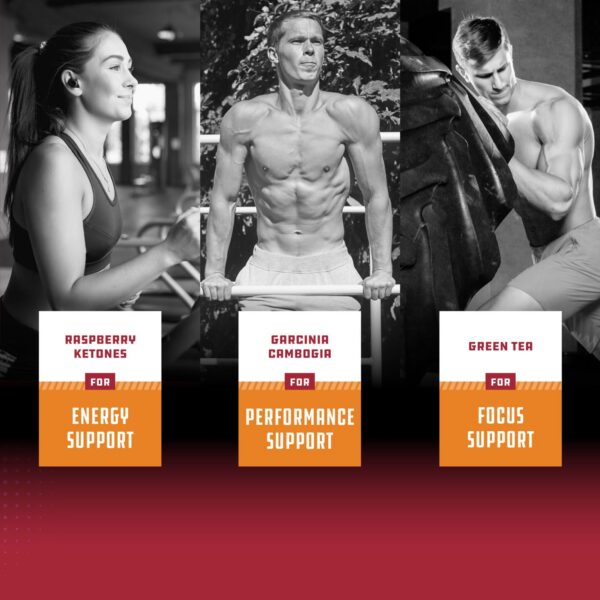 Quemador grasa natural con cetonas frambuesa y té verde