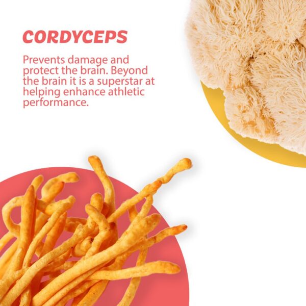 Producto Silver Star Nutrition para salud cognitiva