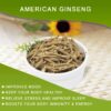 Raíces de ginseng americano para té DABC OAK LAND