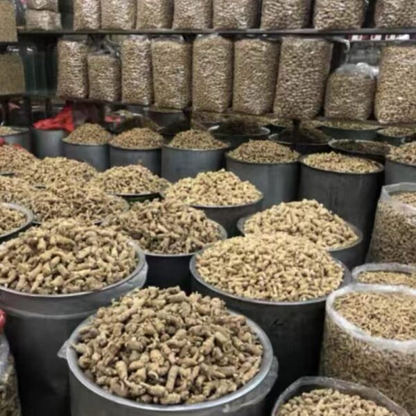 Version 1.0.0 Ginseng Americano Bestliving de alta calidad 8 oz caja amarilla