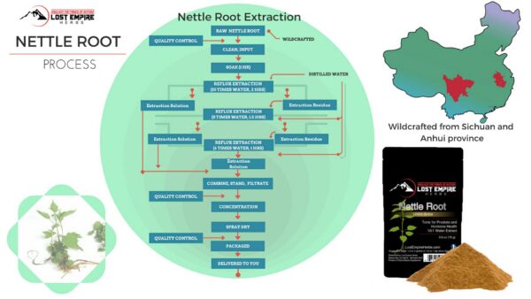 Raíz de ortiga polvo natural suplemento para hombres