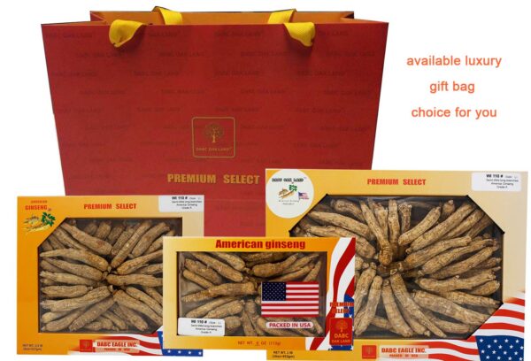 Raíz ginseng americano a mano Wisconsin 1 libra caja DABC OAK LAND