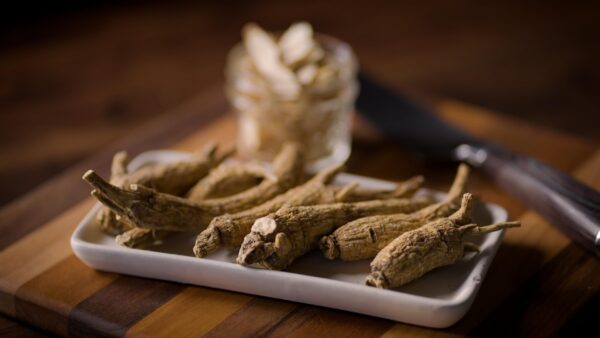 Raíz de ginseng americano Dairyland para uso en té y sopas