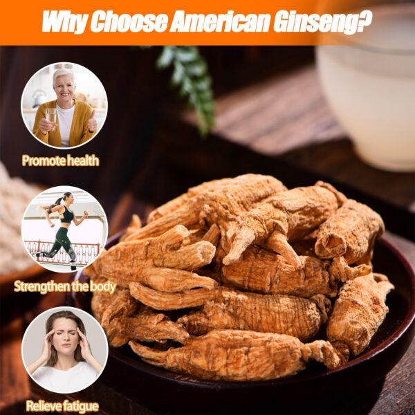 Raíz de ginseng natural para infusiones y extractos